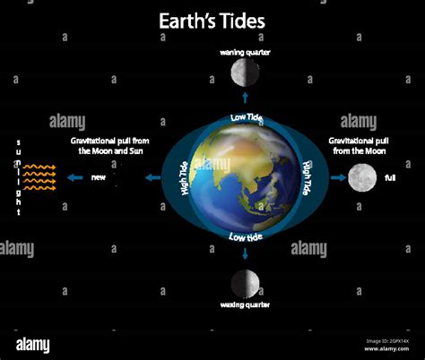 Tide diagram Stock Vector Images - Alamy