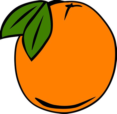 Orange | Free Stock Photo | Illustration of an orange | # 11408