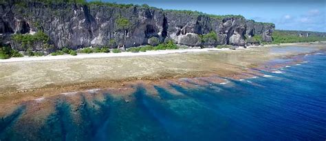 A climbing garden in paradise on earth: Makatea Island - Lacrux ...