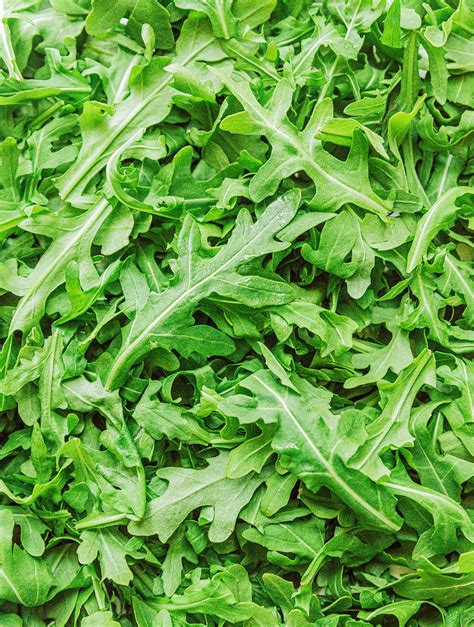 Arugula Vs. Spinach: Which Is Better? | Live Eat Learn