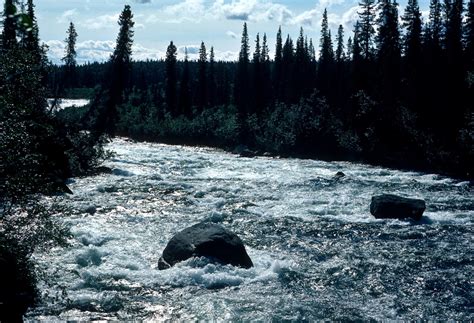 Kobuk River | ALASKA.ORG