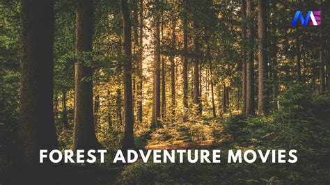 Top 8 Amazing Forest Adventure Movies List You Must Watch - Moodswag