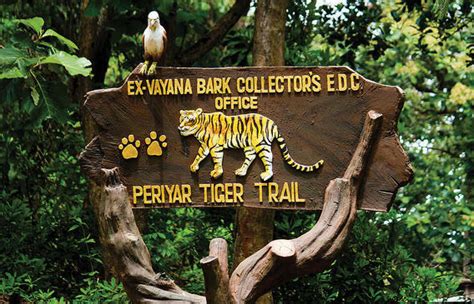 PERIYAR TIGER SANCTUARY — The Indian Panorama