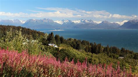 homer alaska weather september - Cleo Cabral