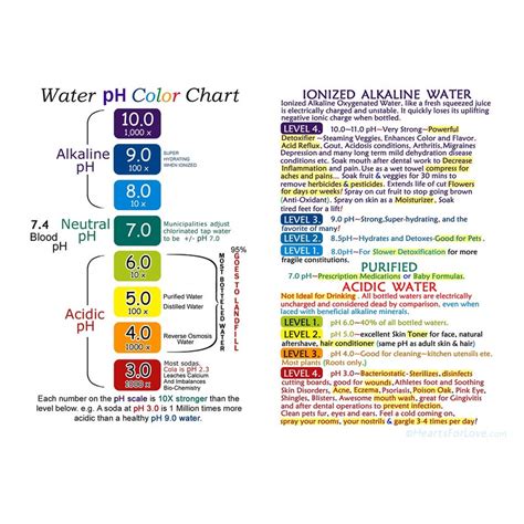 Alkaline Water Infographic and Ph Chart on High Quality | Etsy