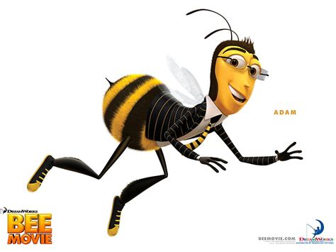 1920x1080px, 1080P free download | Bee Movie, animated, movies, bees, HD wallpaper | Peakpx