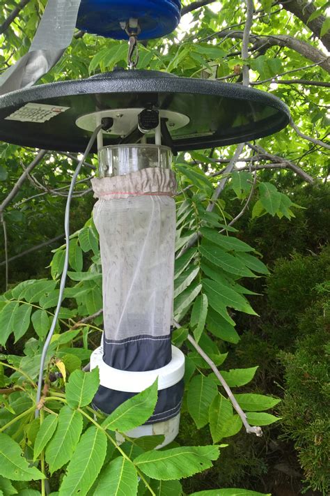 Photos of Mosquito Traps | The Windsor-Essex County Health Unit