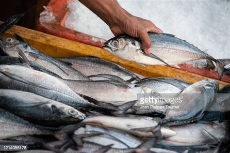 Frozen Food Production Stock-Fotos und Bilder - Getty Images