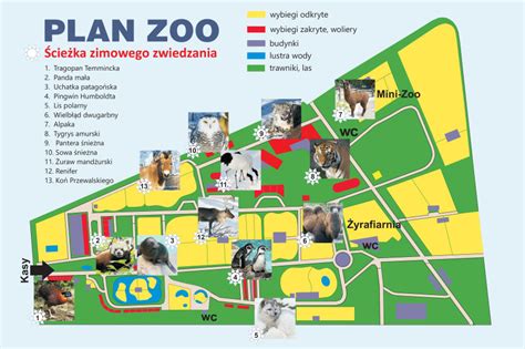 Takiego ZOO jeszcze nie widzieliście, a warto | Kraków w Pigułce