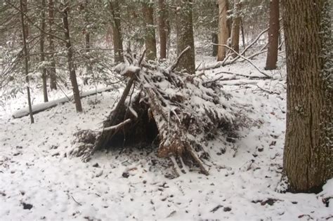 Winter Survival Shelter: How to Choose the Right One