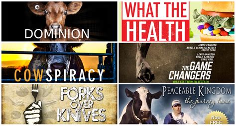 Unlock the secrets of health documentaries with netflix now - Synergy ...