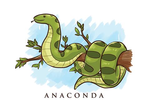 Anaconda Cartoon Illustration 173597 Vector Art at Vecteezy