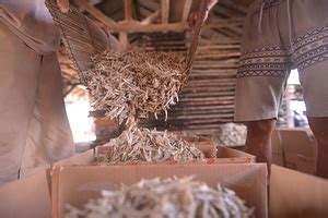 SOPA Images - Galerie - Daily life at pasaran Island in Bandar Lampung, In