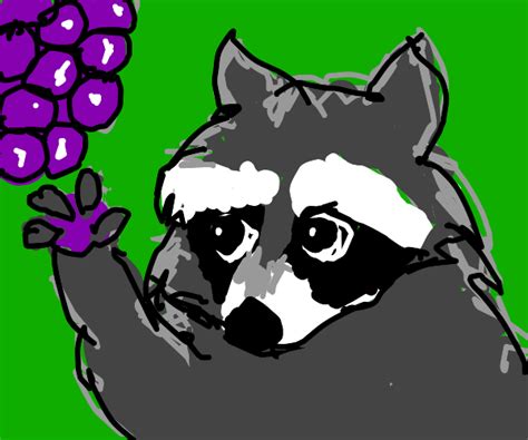 Raccoon eating grapes :) - Drawception