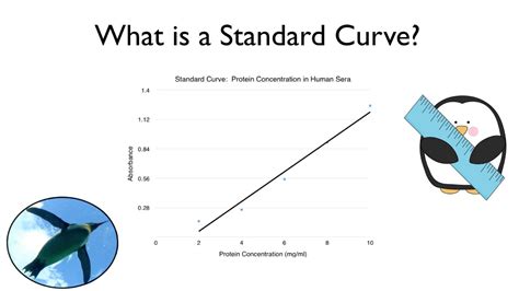 What is a Standard Curve? | ข่าวสารล่าสุดเกี่ยวกับ standard curve คือ ...