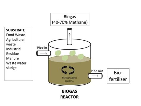 Biogas Production Systems Schematic