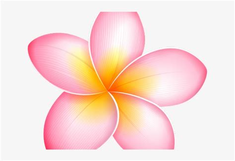 Plumeria Flower Border Clip Art