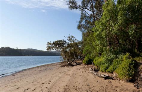 Beach campground | NSW National Parks