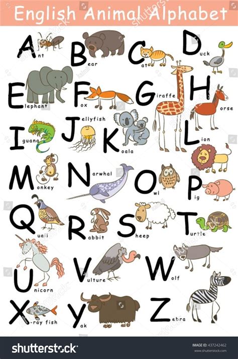 English Animal Alphabet Z Each Starting: vetor stock (livre de direitos) 437242462 | Shutterstock