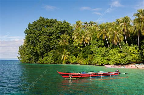 Lagoon of Ahe Island - Stock Image - C031/8439 - Science Photo Library