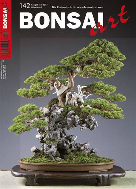 Bonsai Art… As Art | Bonsai Bark