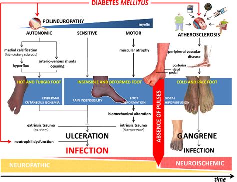 [PDF] Diabetic Foot Infections: Current Diagnosis and Treatment ...