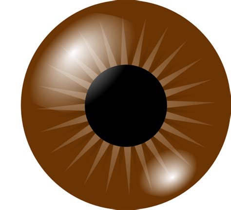 Brown Eye Clip Art at Clker.com - vector clip art online, royalty free & public domain