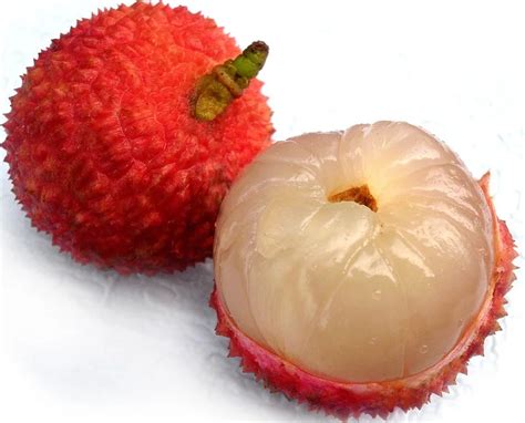 Free Sample New Litchi Fruit Black Lychee Flavored Tea - Buy New Flavor ...