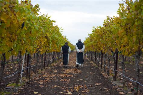 Our Spiritual Drink: A History of Wine and the Catholic Church ...