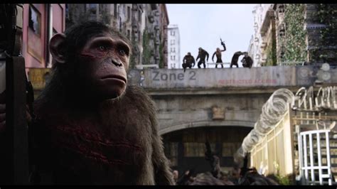 Dawn Of The Planet Of The Apes Caesar And Blue Eyes