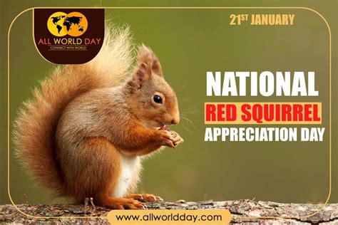 National Red Squirrel Appreciation Day 2024 - All World Day