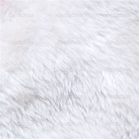 White fur texture