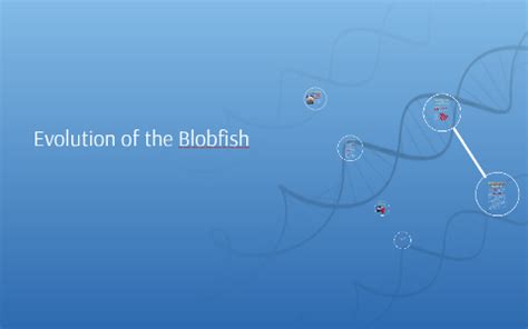 The Evolution of the Blobfish by Marco Jaimes on Prezi