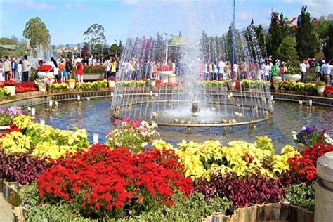 Dalat Flower Garden