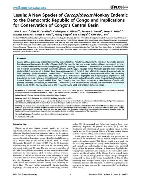 (PDF) Lesula: A New Species of Cercopithecus Monkey Endemic to the ...