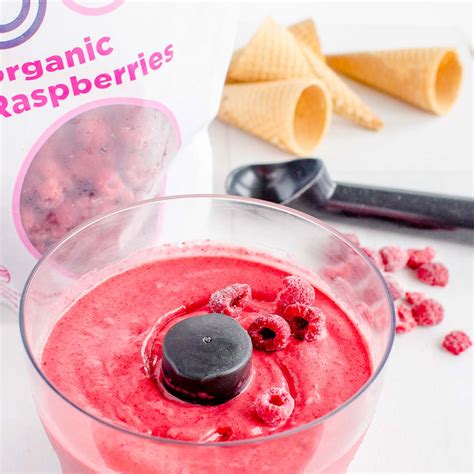 Raspberry Nice Cream — oob organic