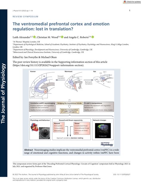 (PDF) The ventromedial prefrontal cortex and emotion regulation: lost in translation?