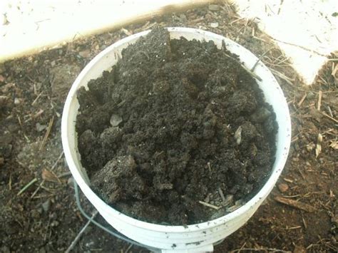 5 gallon Ultimate Chicken Poop Fertilizer (local pickup) - Pupu's Garden