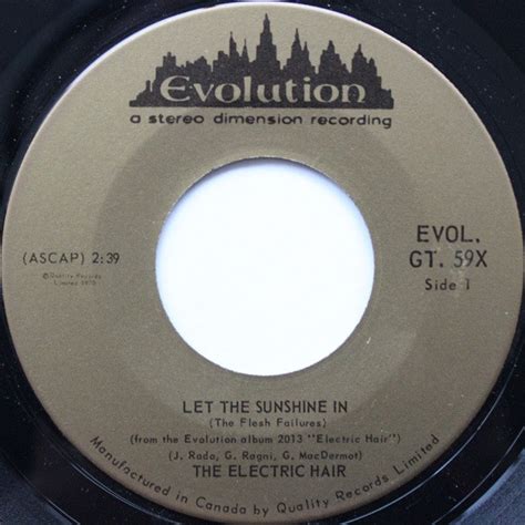 The Electric Hair – Let The Sunshine In (1970, Vinyl) - Discogs