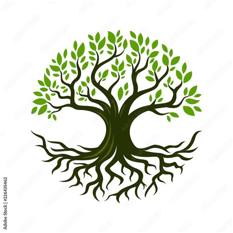 Tree root design illustration Stock Vector | Adobe Stock