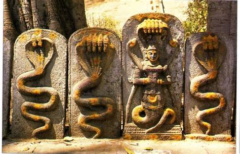 ANCIENT CIVILIZATIONS AND SECRETS : THE NAGAS : THE ORIGINAL RULERS OF ANCIENT INDIA [ PART 1 ]