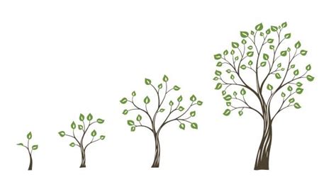 Growing Tree Clipart