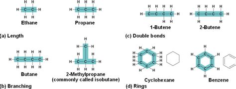 carbon_chains.html 04_05-CarbonSkeletons-L.jpg