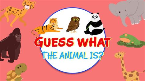 Guessing Games - One4Kids TV