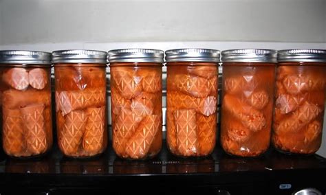 Pickled Bologna Recipe? | Dog food recipes, Canning recipes, Pickling recipes