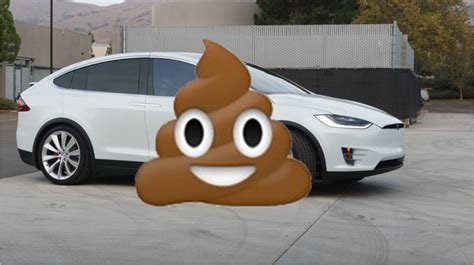 Who pooped on this Chicago man's Tesla? - RedEye Chicago