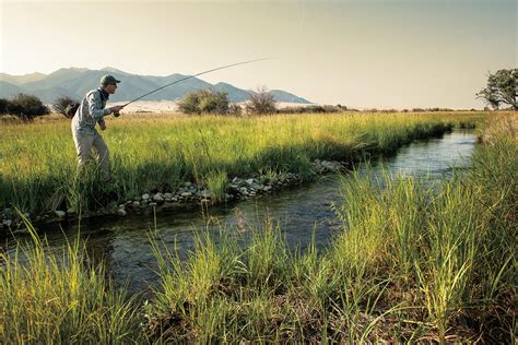 Conservation: From Slough to Spring Creek | MidCurrent