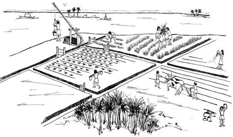 Farming - Ancient Egypt