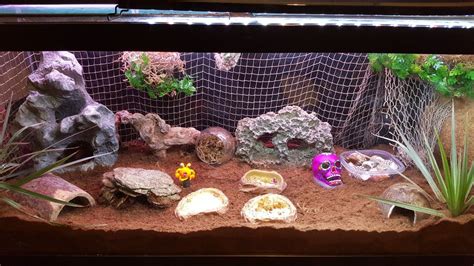 This is my Hermit Crab Tank I'm proud of the results for my 75 gallon and I recently added a ...