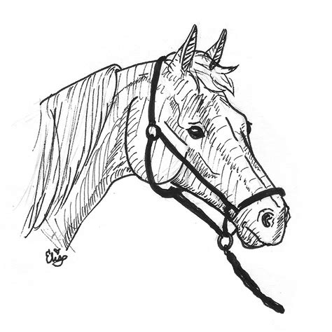 Horse Bridle Drawing at GetDrawings | Free download